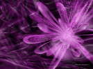 Hebus.com - Abstract Digital Art 052